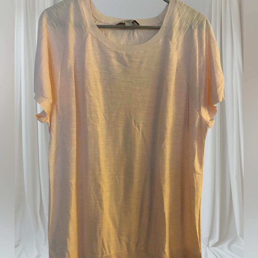 NWT LIght Pink Ann Taylor Loft Light Pink Plus Size Sweater, Women's 16/18